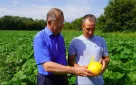 Собрано более 800 тонн овощей: в Оренбурге набирает обороты уборочная кампания