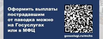 Оформить выплаты пострадавшим от паводка можно на Госуслугах или в МФЦ