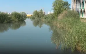 Ботанический сад ОГУ - уникальное место в Оренбурге