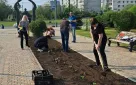 Вернем городу облик цветущего города!