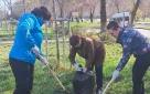 Счетная палата города Оренбурга приняла участие в мероприятиях по благоустройству и озеленению города Оренбурга