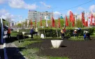 Улицы Оренбурга украшают цветами