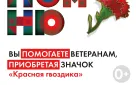 Оренбуржцы могут присоединиться к всероссийской акции «Красная гвоздика» и помочь ветеранам
