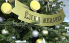 Коллектив Счетной палаты города Оренбурга принял участие во Всероссийской акции «Ёлка желаний»