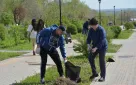 Счетная палата города Оренбурга приняла участие в мероприятиях по благоустройству и озеленению города Оренбурга