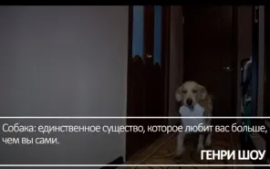 Берегите животных!