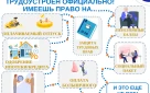 Информационно-разъяснительный материал для работодателей по противодействию нелегальной занятости на 2026-2028 годы