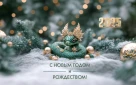 Счетная палата города Оренбурга поздравляет с Новым годом и Рождеством!