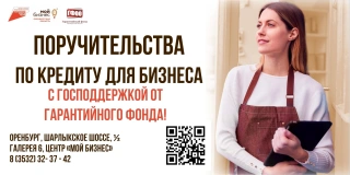 Поручительства по кредиту для бизнеса с господдержкой от Гарантийного фонда