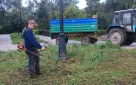 В Оренбурге продолжается покос травы