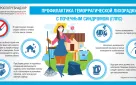 Осторожно - мышиная лихорадка!