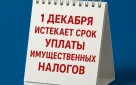 До 1 декабря оренбуржцам необходимо заплатить налоги