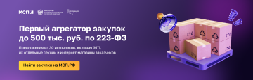 Первый агрегатор заупок до 500 тыс. руб. по 223-ФЗ