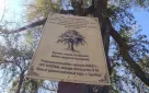 Накануне Дня города публикуем несколько интересных фактов из истории Оренбурга