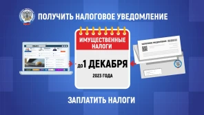 Заплатите имущественные налоги не позднее 1 декабря 2023 года!
