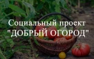 Оренбуржцев приглашают к участию во всероссийской акции #ДОБРЫЙ ОГОРОД