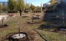 19.10.2023 управлением охраны окружающей среды администрации города Оренбурга проведена экологическая акция «Семейное дерево»