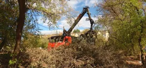 Коммунальные службы Оренбурга помогают вывезти спилы деревьев и кустарников с площадок ТКО